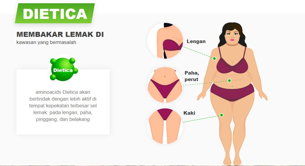 Dietica MEMBAKAR LEMAK DI kawasan yang bermasalah