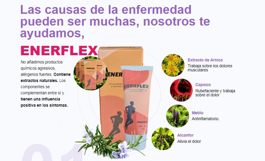 ENERFLEX argentina
