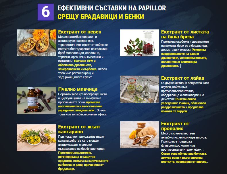 Papillor