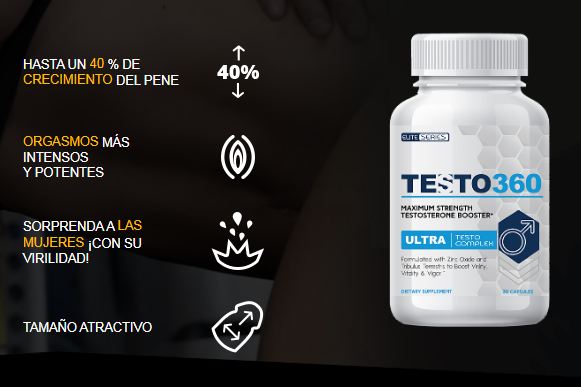 Testo 360