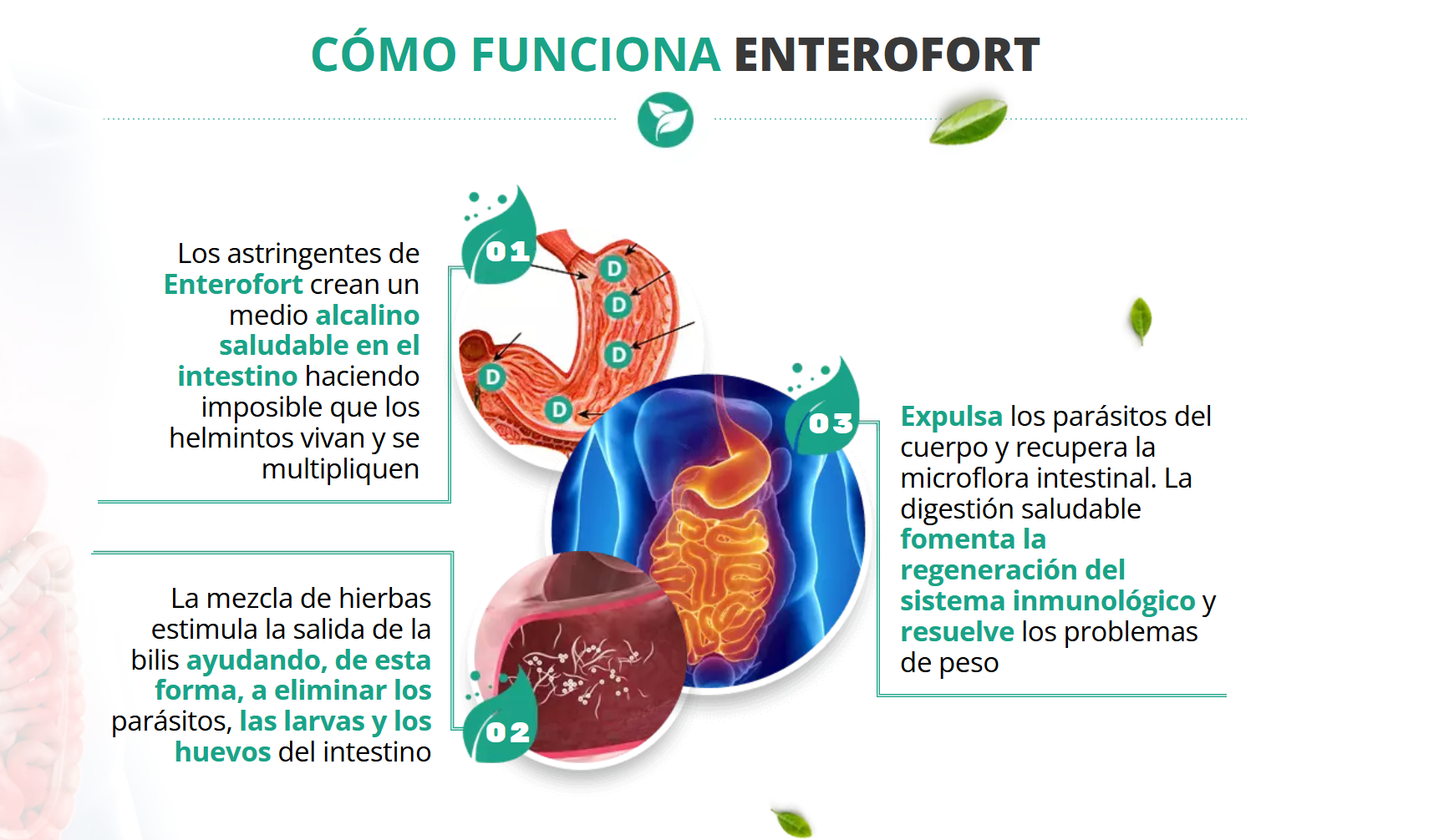 Enterofort
