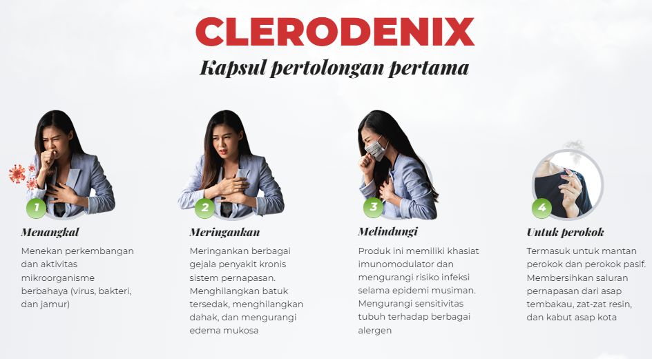 Clerodenix Pertama