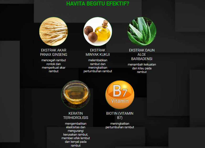 Havita Efektif