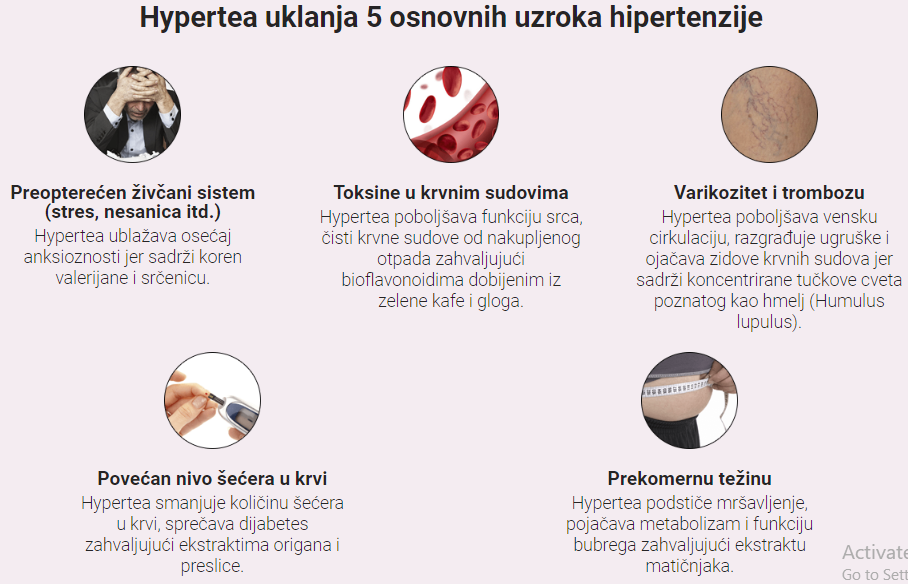 Hypertea Hipertenzije
