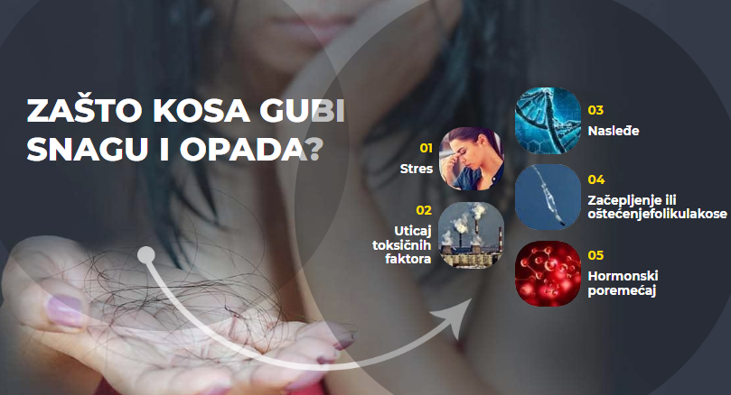 Lossless Opada
