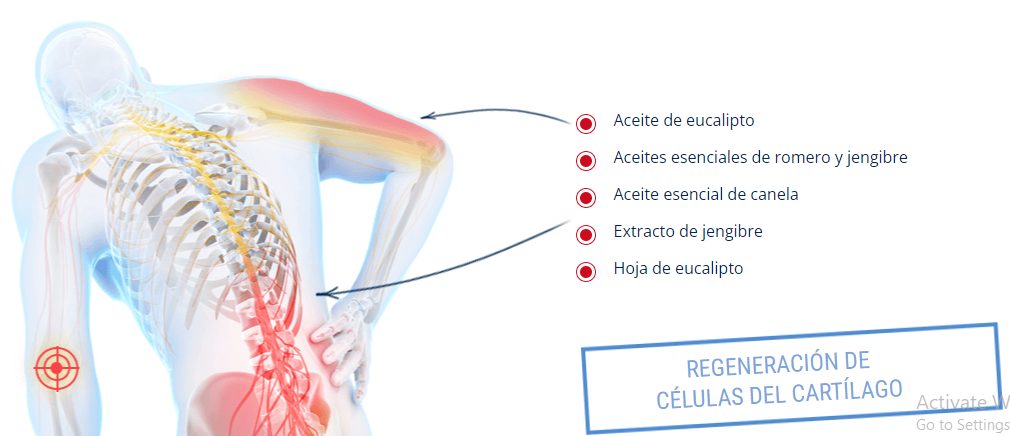 Motion Energy Mexico