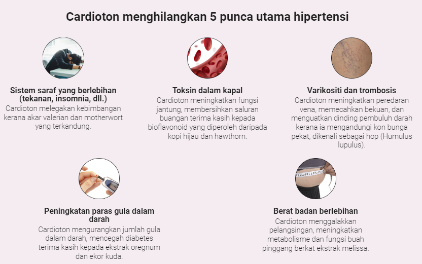 Cardioton Hipertensi