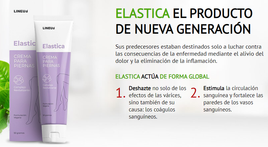 Elastica Generacion