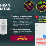 Evision Kapsul Harga 390000 Rp – Ke Memulihkan Penglihatan (Indonesia)