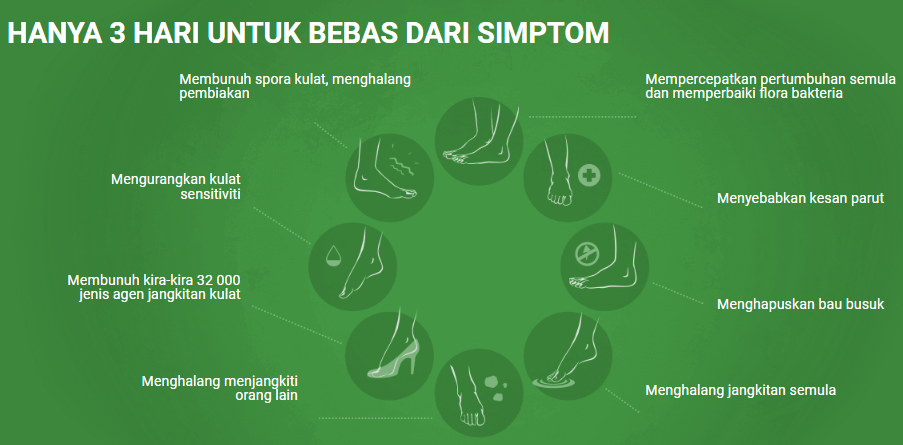 Mycelix Simptom