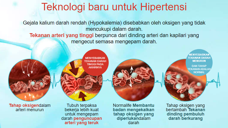 Normalife Teknologi