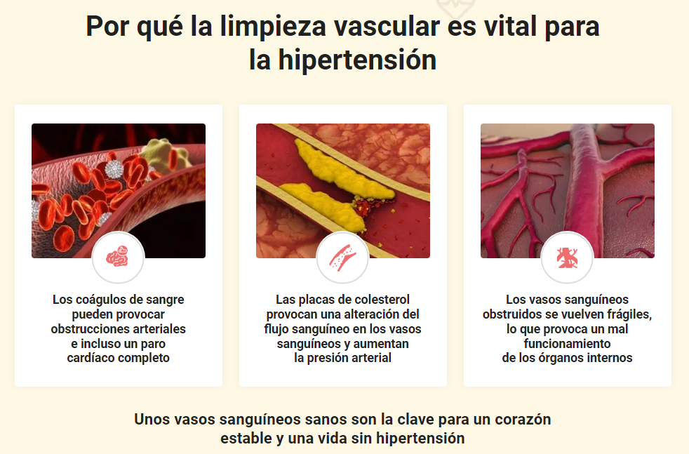 Tonerin Hipertension