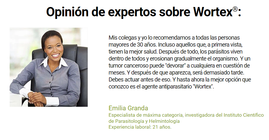 Wortex Expertos