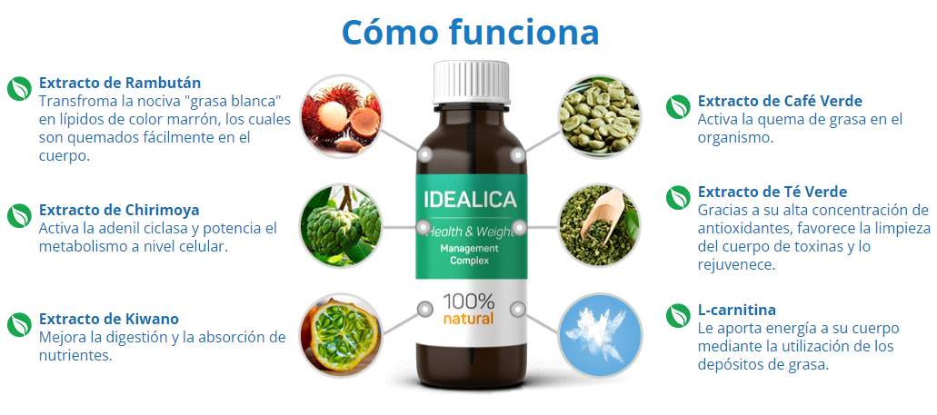 Idealica Como