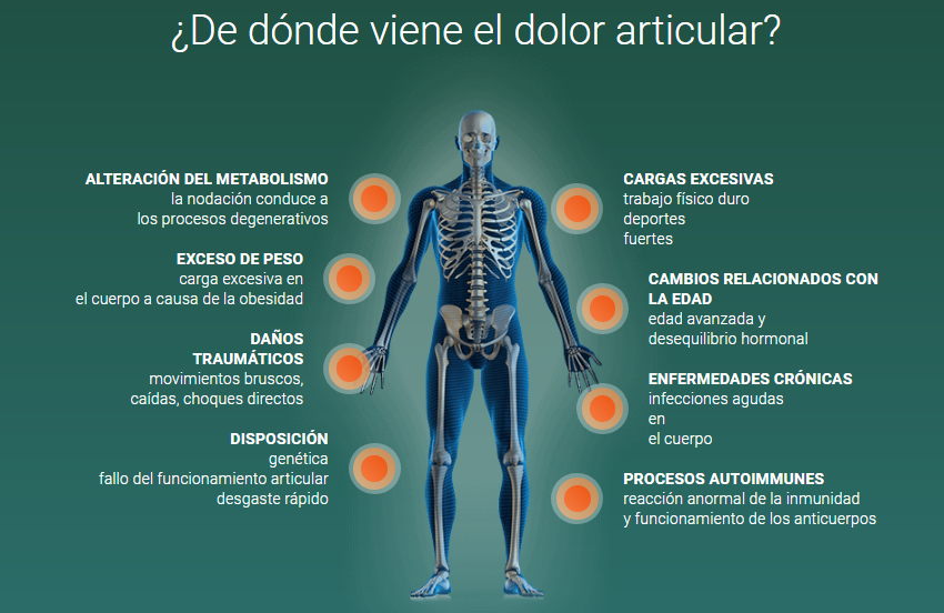 Parafrix Dolor