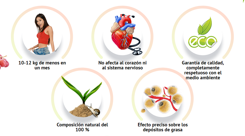 Ecoslim Effect