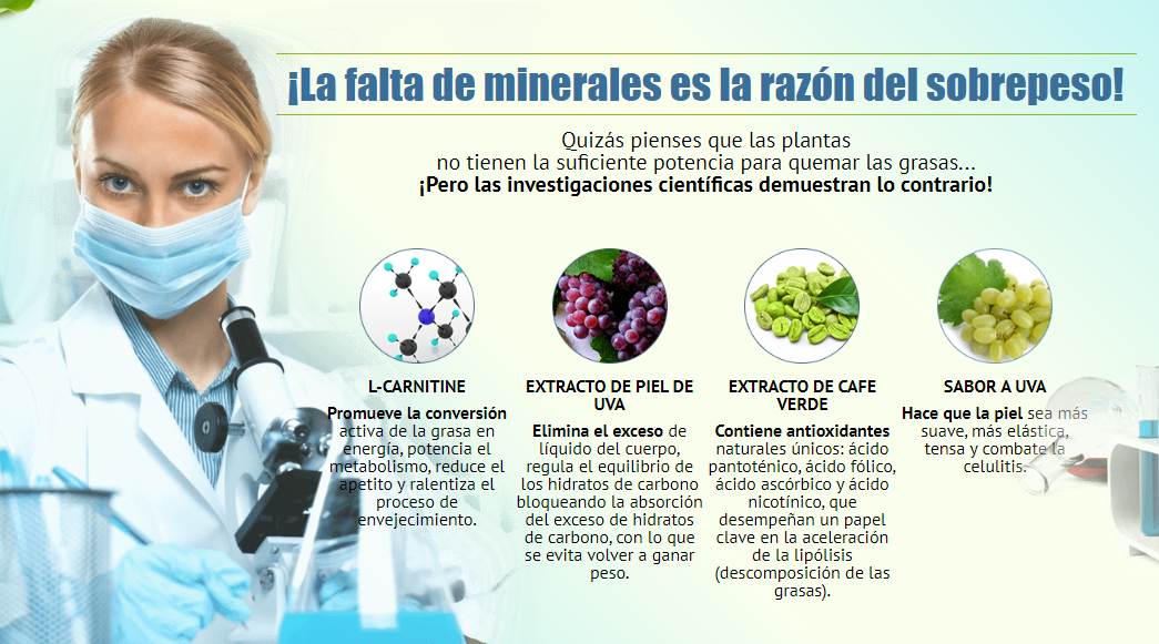 Ecoslim Minerales