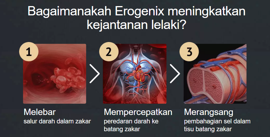 Erogenix Bagaimanakah