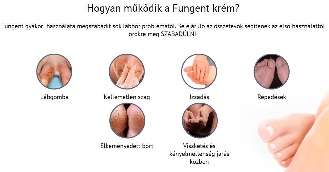 Fungent Hogyan