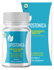 Lipostonica