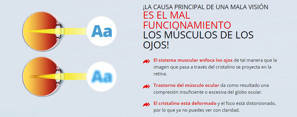 Lutevid Funcionamiento