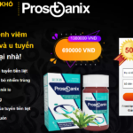 Prostanix Viên Vietnam Giá 690000 VNĐ: Điều trị viêm tiền! ý kiến