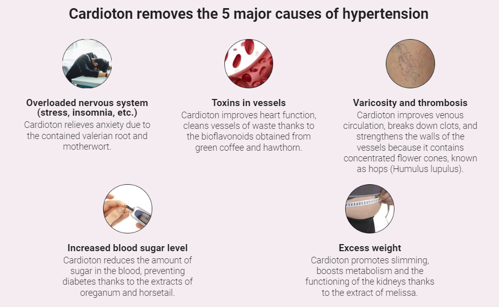 Cardioton Hypertension