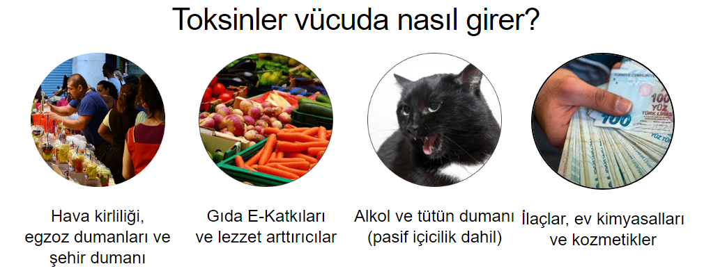 Detox Care Toksinler