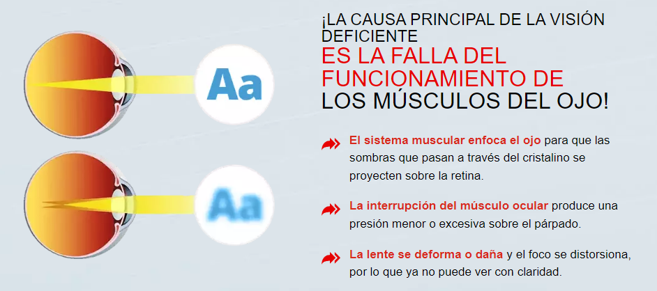 OptiPure Funcionamiento