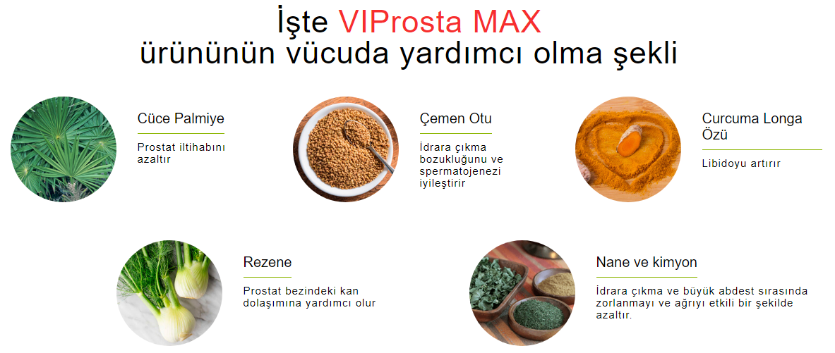 Viaprosta Max İçindekiler