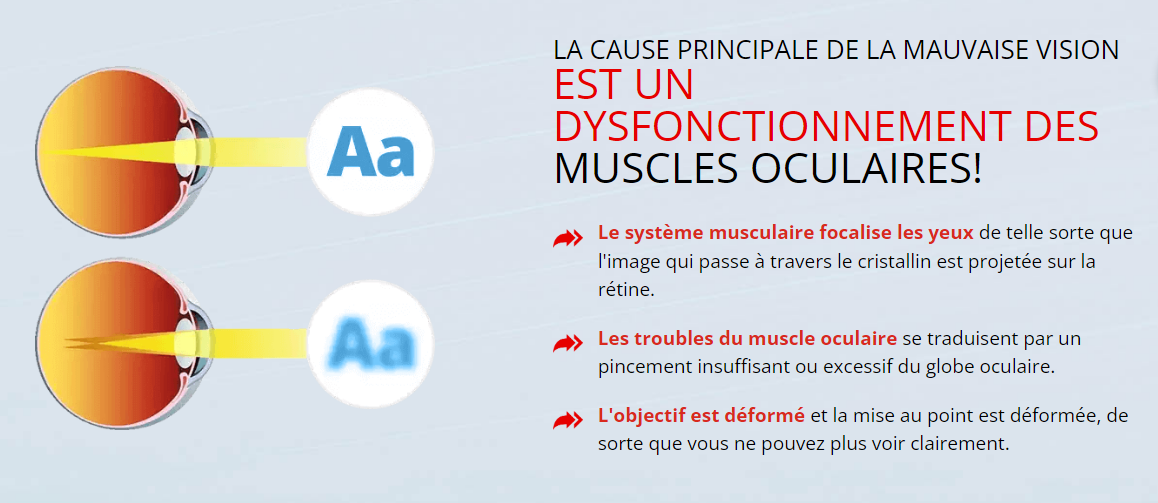 Vitavision Forte Effet