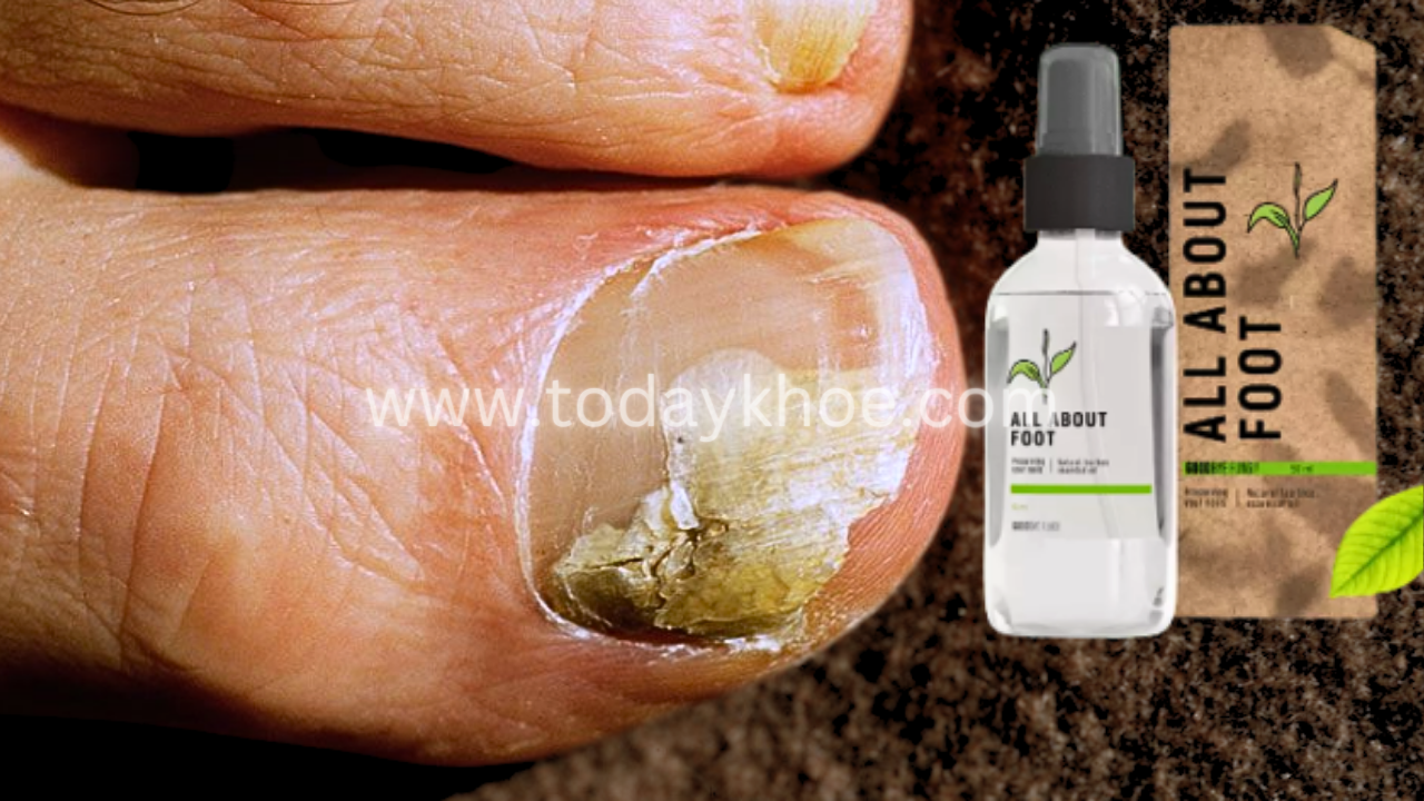 All About Foot Harga