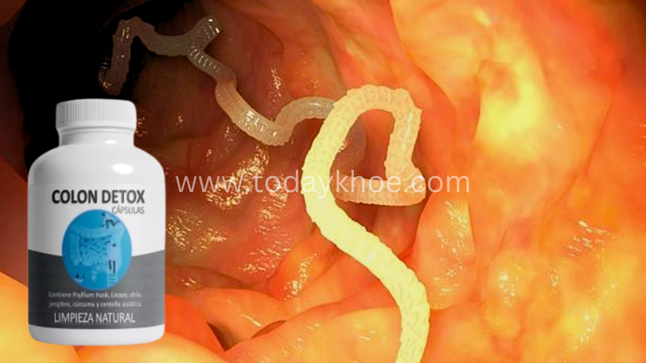 Colon Detox Trabajar