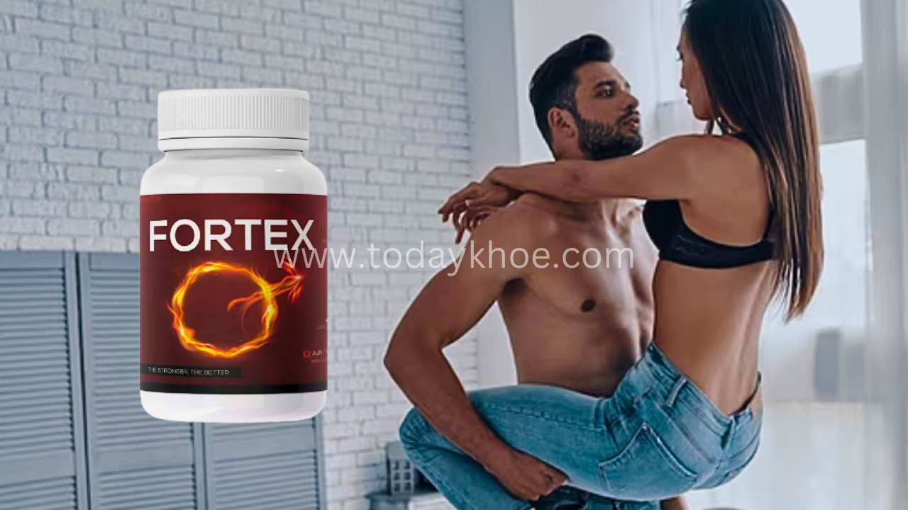 Fortex Rendit