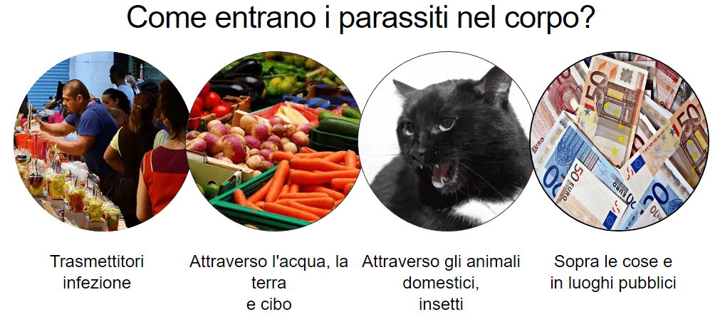Parazol Tipi di parassiti