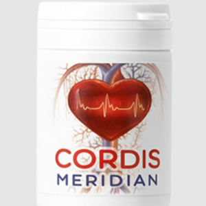 Cordis Meridian سعر Lebanon